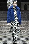 2018 Fall Winter', 'Christian Wijnants', 'Full Length', 'WIJNANTS_WCFF18_035.jpg