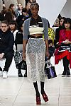 2019 Spring Summer', 'Miu Miu', 'Full Length', 'MIUMIU_WCFS19_058.jpg