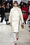 2019 Spring Summer', 'Miu Miu', 'Full Length', 'MIUMIU_WCFS19_103.jpg