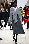 2019 Spring Summer', 'Miu Miu', 'Full Length', 'MIUMIU_WCFS19_122.jpg