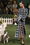 2019 Fall Winter', 'Lela Rose', 'Full Length', 'ROSE_WCFF19_059.jpg