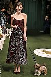 2019 Fall Winter', 'Lela Rose', 'Full Length', 'ROSE_WCFF19_072.jpg