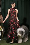 2019 Fall Winter', 'Lela Rose', 'Full Length', 'ROSE_WCFF19_103.jpg