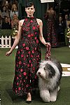 2019 Fall Winter', 'Lela Rose', 'Full Length', 'ROSE_WCFF19_110.jpg