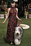 2019 Fall Winter', 'Lela Rose', 'Full Length', 'ROSE_WCFF19_114.jpg
