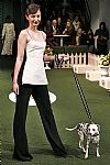2019 Fall Winter', 'Lela Rose', 'Full Length', 'ROSE_WCFF19_137.jpg