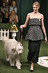 2019 Fall Winter', 'Lela Rose', 'Full Length', 'ROSE_WCFF19_149.jpg