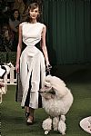 2019 Fall Winter', 'Lela Rose', 'Full Length', 'ROSE_WCFF19_161.jpg