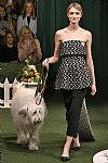 2019 Fall Winter', 'Lela Rose', 'Full Length', 'ROSE_WCFF19_168.jpg