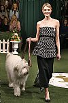 2019 Fall Winter', 'Lela Rose', 'Full Length', 'ROSE_WCFF19_171.jpg
