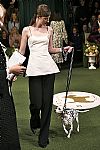 2019 Fall Winter', 'Lela Rose', 'Full Length', 'ROSE_WCFF19_172.jpg